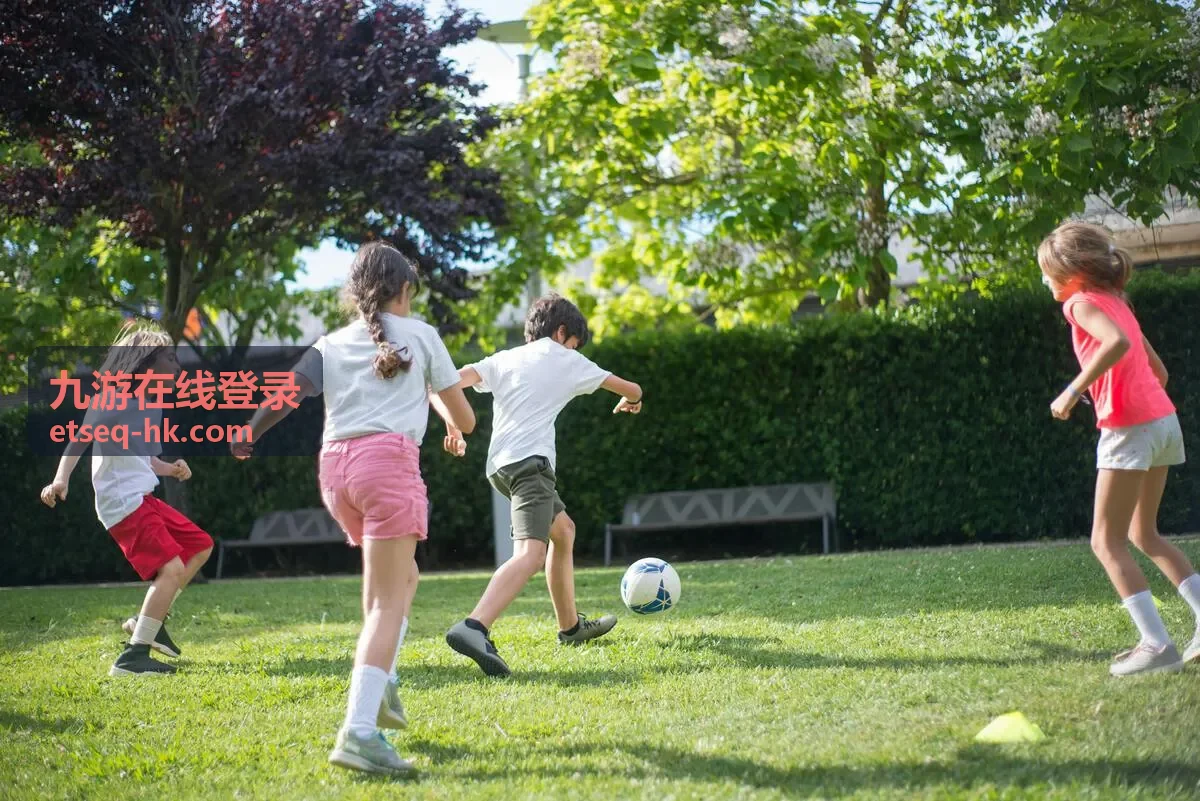 九游在线登录安全验证环节示意说明
